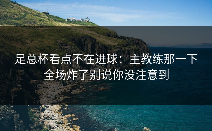 足总杯看点不在进球:主教练那一下全场炸了别说你没注意到 足总杯看点不在进球:主教练那一下全场炸了别说你没注意到