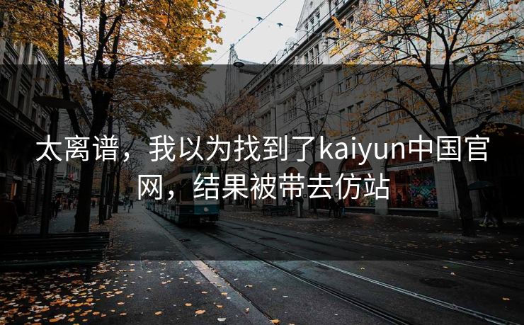 太离谱，我以为找到了kaiyun中国官网，结果被带去仿站