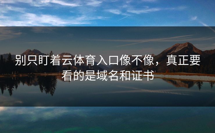 别只盯着云体育入口像不像，真正要看的是域名和证书